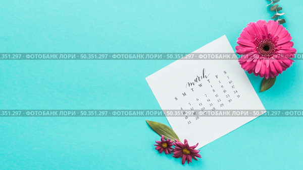 gerbera flower with march calendar table. Стоковое фото, агентство Ingram Publishing / Фотобанк Лори