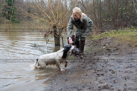 Girl working her spaniel, across water, on a shoot. Стоковое фото, агентство Ingram Publishing / Фотобанк Лори