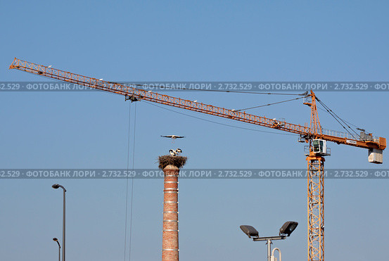 Гнездо аистов на заводской трубе (2010 год). Редакционное фото, фотограф Юрий Синицын / Фотобанк Лори