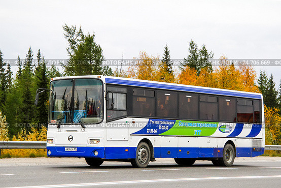 GOLAZ LIAZ 5256 (2012 год). Редакционное фото, фотограф Art Konovalov / Фотобанк Лори
