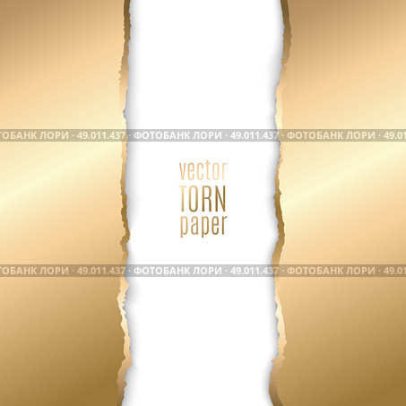 Gold and black torn paper. Vector illustration Gold torn paper. Template background. Стоковая иллюстрация, агентство Ingram Publishing / Фотобанк Лори