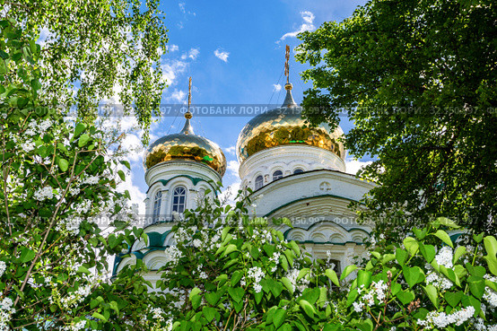 Golden domes of the Holy Trinity Cathedral (2018 год). Стоковое фото, фотограф FotograFF / Фотобанк Лори