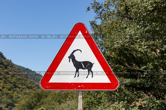 Gorgan Bojnord Road sign warning for wildlife in Golestan National Park. Стоковое фото, фотограф Михаил Пряхин / Фотобанк Лори