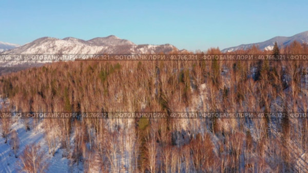 Горный Алтай зимой. Катунский хребет и река Катунь. Вид с воздуха. Altai mountains in winter. Katunsky Ridge and Katun River. Aerial view. Стоковое видео, видеограф Евгений Романов / Фотобанк Лори