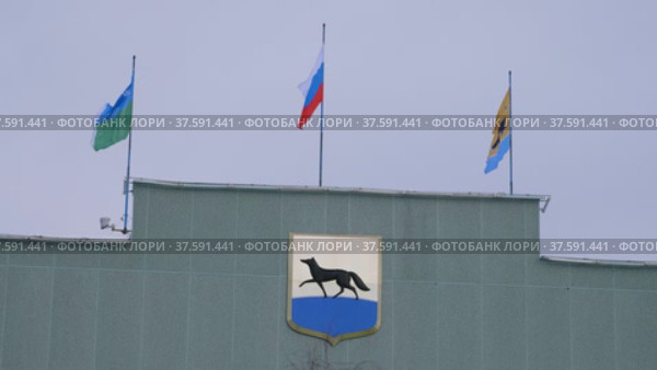 Город Сургут зимой. Здание администрации города. Surgut city in winter. The city administration building. (2022 год). Редакционное видео, видеограф Евгений Романов / Фотобанк Лори