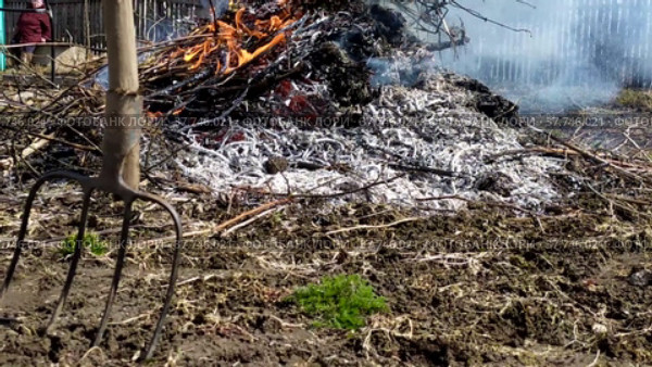Grass is burning in the garden. Harvesting in the garden. Bonfire with trash. Burning garbage in the area. (2020 год). Редакционное видео, видеограф Лилия Фролова / Фотобанк Лори