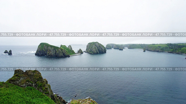 Green Cliffs and bay of Kuril islands. Shikotan. Стоковое фото, фотограф Николай Евсюков / Фотобанк Лори