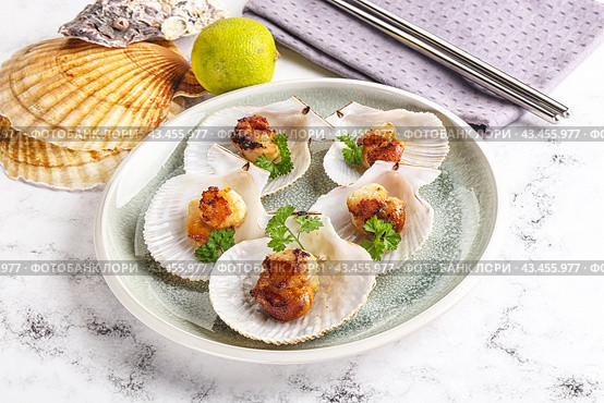 Grilled scallops shell with butter. Стоковое фото, фотограф Андрей Старостин / Фотобанк Лори