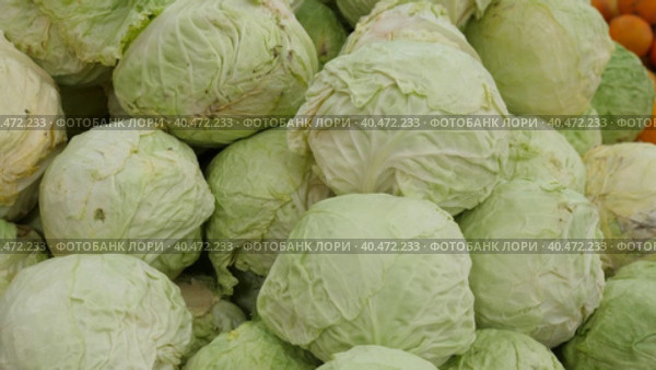 Group of green cabbages in supermarket, Fresh cabbage from farm field,Cabbages harvest, heap cabbage. Стоковое видео, видеограф Яков Филимонов / Фотобанк Лори
