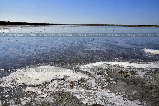 Грязевое озеро Соленое, Веселовка, Краснодарский край. Стоковое фото, фотограф Оглоблин Андрей Николаевич / Фотобанк Лори