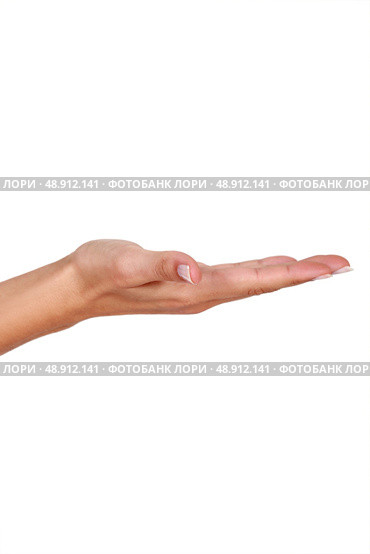 hand close-up. Стоковое фото, агентство Ingram Publishing / Фотобанк Лори