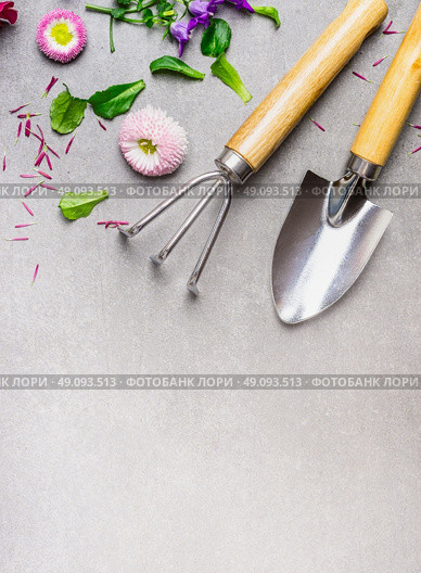 Hand garden rake and shovel with flowers plant on gray stone background, top view, place for text. Summer gardening concept. Стоковое фото, агентство Ingram Publishing / Фотобанк Лори