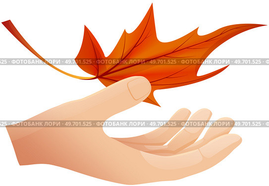Hand holds autumn leaf vector illustration. Fallen golden yellow leaf on white. Autumn season symbol, isolated icon, nature botanical element raster. Frondage and foliage wavy dry fallen leaves sign. Hand holds autumn leaf vector illustration. Fallen golden yellow leaf isolated on white background. Стоковая иллюстрация, агентство Ingram Publishing / Фотобанк Лори