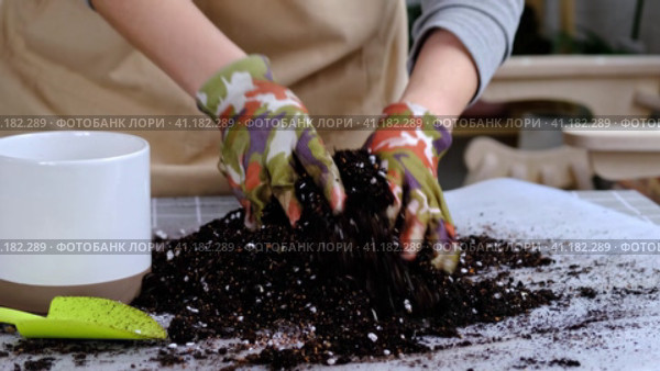 Hands in gloves mix ingredients for the soil of home potted plants, peat, earth, sand, perlite, vermiculite, coconut. A mixture for planting plants in a pot. Layout. Стоковое видео, видеограф Ольга Симонова / Фотобанк Лори