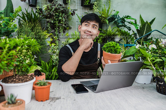 Happily gardener man use smartphone and laptop computer while online tutorial on potted plans in shop, vlogging or small business houseplant concept. Стоковое фото, агентство Ingram Publishing / Фотобанк Лори