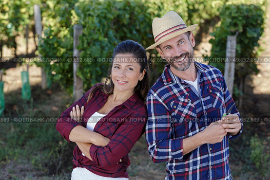 happy couple of wine growers walking in vine rows. Стоковое фото, агентство Ingram Publishing / Фотобанк Лори