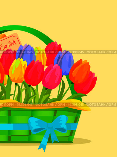 Happy easter festive concept. Different colors tulips in green wicker basket bonded blue ribbon flat vector. Scented spring flowers illustration for holiday invitations and greeting cards design. Happy Easter Festive Vector Concept with Tulips. Стоковая иллюстрация, агентство Ingram Publishing / Фотобанк Лори