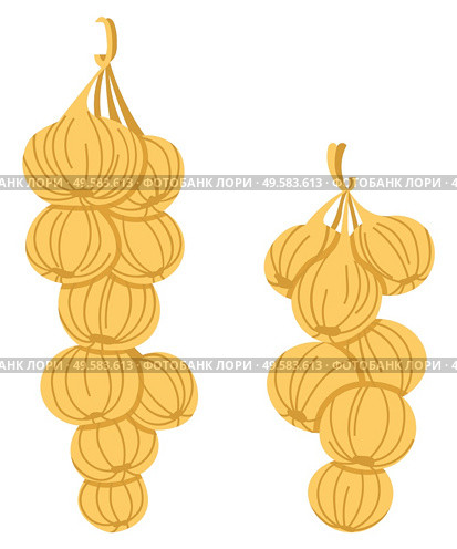 Harvest organic product, festival in Europe with vegetables, aromatic bulb of garlic. Ingredient of food or flavoring, healthy product, rustic sign vector. Garlic Product, Aromatic Vegetable, Harvest Vector. Стоковая иллюстрация, агентство Ingram Publishing / Фотобанк Лори