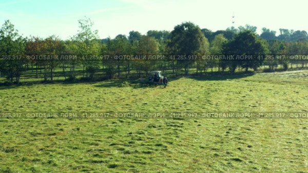 Harvesting and drying hay. The grass tedder turns freshly cut grass. Drone photo. Стоковое видео, видеограф Артем Лукин / Фотобанк Лори