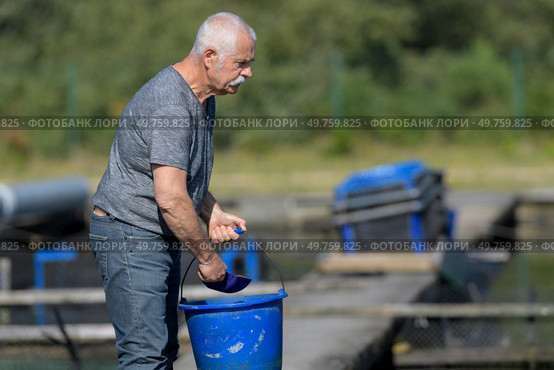 hatchery worker netting kokanee salmon. Стоковое фото, агентство Ingram Publishing / Фотобанк Лори