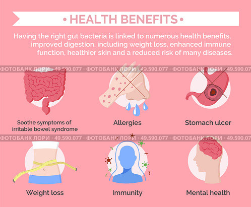 Health benefits info banner. Soothe symptoms of irritable bowels syndrome, allergies and stomach ulcer. Weight loss and immunity, mental health. Set of illnesses covered by insurance, vector. Health Benefits Infographics Set with Information. Стоковая иллюстрация, агентство Ingram Publishing / Фотобанк Лори