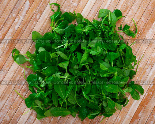 Heap of green fresh arugula leaf and canonigo or mache. Стоковое фото, фотограф Яков Филимонов / Фотобанк Лори