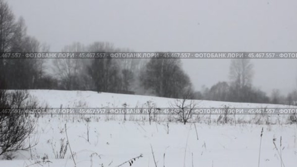 Heavy snowfall in the field. Стоковое видео, видеограф Любовь Назарова / Фотобанк Лори