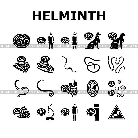 helminth worm parasite roundworm icons set vector. Стоковая иллюстрация, иллюстратор Vectorwin / Фотобанк Лори