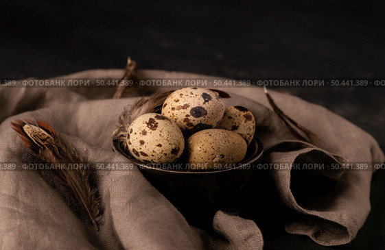 high angle quail eggs bowl. Стоковое фото, агентство Ingram Publishing / Фотобанк Лори