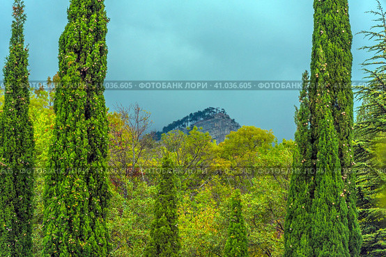 High cypresses and mountain view in Crimea (2020 год). Стоковое фото, фотограф Анна Кривицкая / Фотобанк Лори