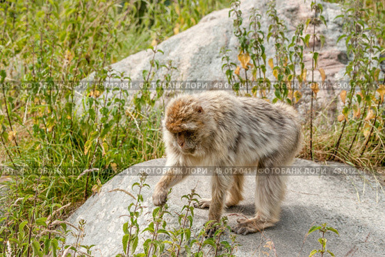 High resolution photo in best quality. Стоковое фото, агентство Ingram Publishing / Фотобанк Лори