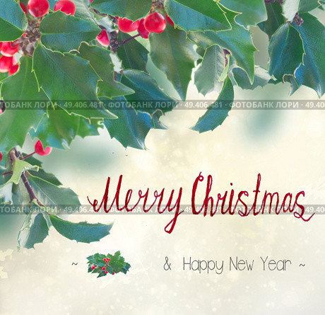 Holly branch with leaves and berries border on gray bokeh background with merry christmas greetings. Holly branch on gray background. Стоковое фото, агентство Ingram Publishing / Фотобанк Лори