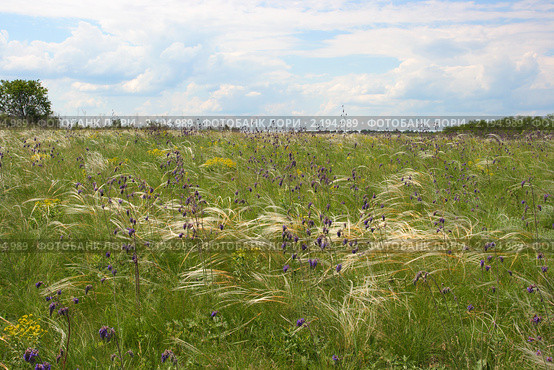 Хомутовская степь. Донецк, Украина (2009 год). Редакционное фото, фотограф Артем Поваров / Фотобанк Лори