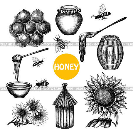 Honey set black hand drawn doodle . Honey production black icons set with beehive honeycombs cells and flying bees doodle abstract isolated vector illustration. Стоковая иллюстрация, агентство Ingram Publishing / Фотобанк Лори