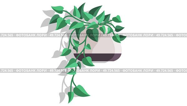 House and home plant. Vector illustration. The choice home plant in flowerpot can be guided by your overall room decoration gardening theme A houseplant in stylish planter and pot is more than plant. House and home plant. Vector. An interior potted plant can serve as unique element in trendy home decor with plants. Стоковая иллюстрация, агентство Ingram Publishing / Фотобанк Лори