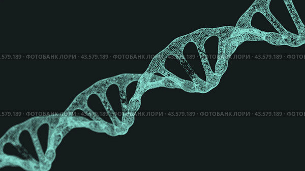 Human DNA .Biotechnology, biochemistry, genetics and medicine concept. Стоковое фото, фотограф Александр Трофимович / Фотобанк Лори