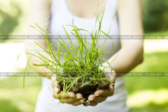 Human hands holding and support earth with grass. Стоковое фото, фотограф Mitar gavric / PantherMedia / Фотобанк Лори