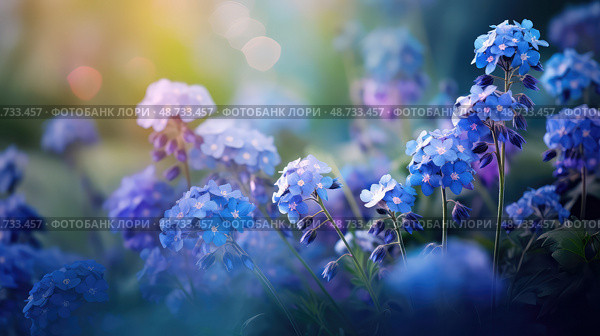 hyacinth purple and blue flowers ai generated. Стоковое AI-изображение, AI-художник Vectorwin / Фотобанк Лори
