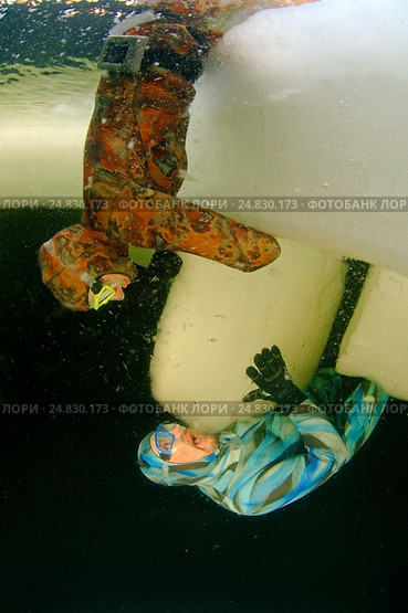 Ice diving, free diving, (2009 год). Редакционное фото, фотограф Некрасов Андрей / Фотобанк Лори