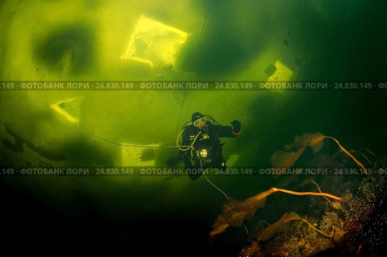 Ice diving in Russian Arctic (2009 год). Редакционное фото, фотограф Некрасов Андрей / Фотобанк Лори