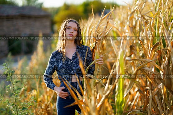 In a picturesque cornfield, a young woman stands gracefully, highlighting natures beauty in the warm evening light, dressed in a stylish outfit that reflects her unique personality. A Young Woman is Posing Gracefully in a Cornfield During the Beautiful Golden Hour Light. Стоковое фото, агентство Ingram Publishing / Фотобанк Лори