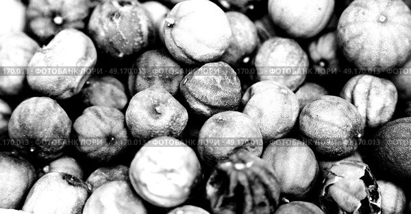 in iran blur  typical dry lemon in abstract pattern background flavor and aroma. Стоковое фото, агентство Ingram Publishing / Фотобанк Лори