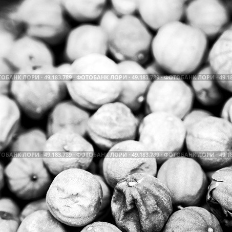 in iran blur  typical dry lemon in abstract pattern background flavor and aroma. Стоковое фото, агентство Ingram Publishing / Фотобанк Лори