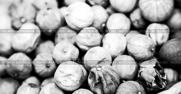 in iran blur  typical dry lemon in abstract pattern background flavor and aroma. Стоковое фото, агентство Ingram Publishing / Фотобанк Лори