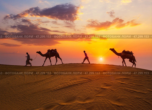 Indian cameleers camel drivers camel silhouettes in dunes on sunset. Jaisalmer, Rajasthan, India (2019 год). Стоковое фото, фотограф Дмитрий Рухленко / Фотобанк Лори