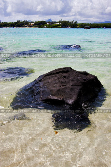 indian ocean some stone in the island of deus cocos in mauritius. Стоковое фото, агентство Ingram Publishing / Фотобанк Лори