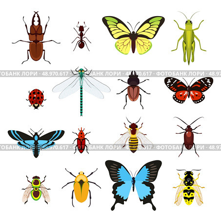 Insects colored decorative icons set with dragonfly beetle butterfly isolated vector illustration. Стоковая иллюстрация, агентство Ingram Publishing / Фотобанк Лори