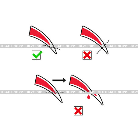 Instructions for cutting claws in animals. Simple flat vector illustration on a white background. Стоковая иллюстрация, иллюстратор Марина Дычек / Фотобанк Лори