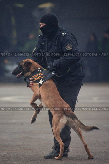 Interpolitex-2015. Демонстрационный показ бойцов спецназа ФСКН. Редакционное фото, фотограф Julia Shepeleva / Фотобанк Лори