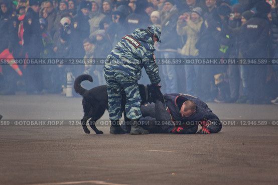 Interpolitex-2015. Демонстрационный показ бойцов спецназа ФСКН. Редакционное фото, фотограф Julia Shepeleva / Фотобанк Лори
